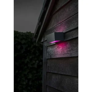 Luminaires Lutec Luminaires Extérieurs Connectes>Applique Murale D'Exterieur Lutec Gemini Led Anthracite, 2 Lumieres, Changeur De Couleurs