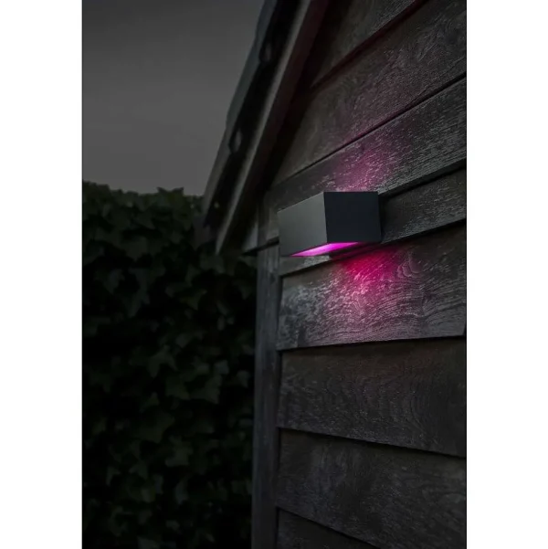 Luminaires Lutec Luminaires Extérieurs Connectes>Applique Murale D'Exterieur Lutec Gemini Led Anthracite, 2 Lumieres, Changeur De Couleurs