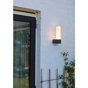 Luminaires Lutec Luminaires Extérieurs Connectes>Applique Murale D'Exterieur Lutec Dropa Led Anthracite, 1 Lumiere, Changeur De Couleurs