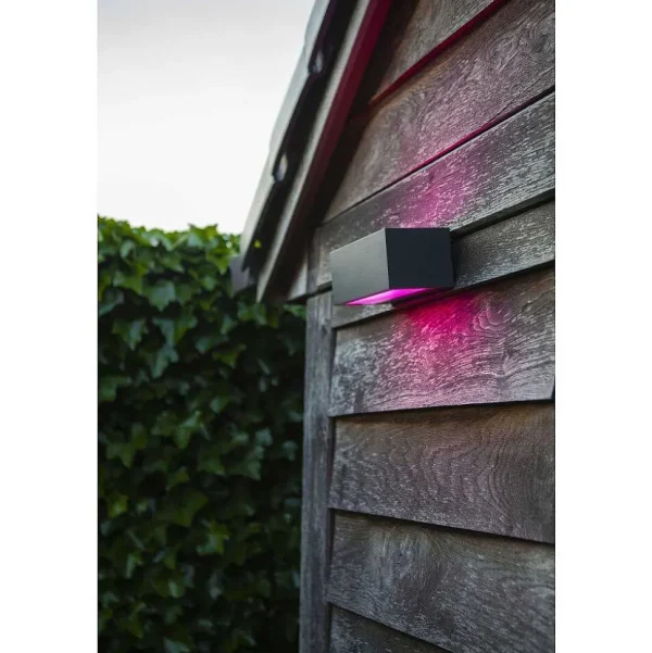 Luminaires Lutec Luminaires Extérieurs Connectes>Applique Murale D'Exterieur Lutec Gemini Led Anthracite, 2 Lumieres, Changeur De Couleurs