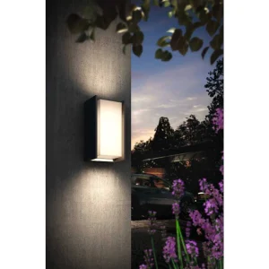 Luminaires Philips Luminaires Extérieurs Connectes>Applique Murale D'Exterieur Set X 2 Philips Hue Turaco Led Anthracite, 1 Lumiere