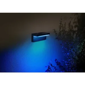 Luminaires Philips Luminaires Extérieurs Connectes>Applique Murale D'Exterieur Philips Hue Nyro Led Noir, 1 Lumiere, Changeur De Couleurs