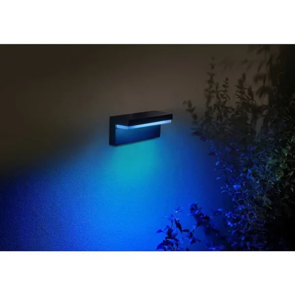 Luminaires Philips Luminaires Extérieurs Connectes>Applique Murale D'Exterieur Philips Hue Nyro Led Noir, 1 Lumiere, Changeur De Couleurs