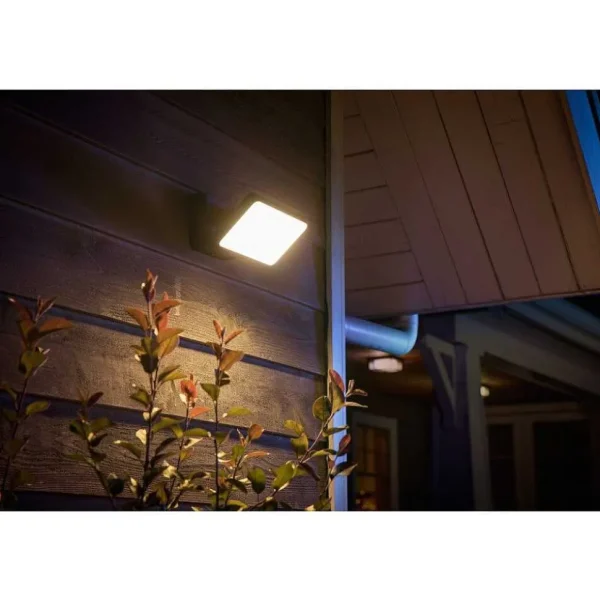 Luminaires Philips Luminaires Extérieurs Connectes>Applique Murale D'Exterieur Philips Hue White Welcome Led Noir, 1 Lumiere