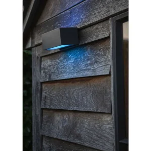 Luminaires Lutec Luminaires Extérieurs Connectes>Applique Murale D'Exterieur Lutec Gemini Led Anthracite, 2 Lumieres, Changeur De Couleurs