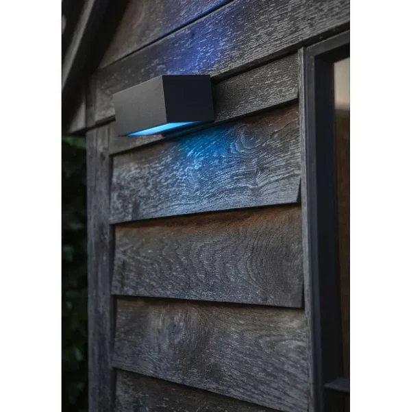 Luminaires Lutec Luminaires Extérieurs Connectes>Applique Murale D'Exterieur Lutec Gemini Led Anthracite, 2 Lumieres, Changeur De Couleurs