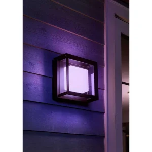 Luminaires Philips Luminaires Extérieurs Connectes>Applique Murale Philips Hue Ambiance White & Color Econic Led Noir, 1 Lumiere, Changeur De Couleurs