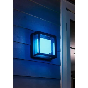 Luminaires Philips Luminaires Extérieurs Connectes>Applique Murale Philips Hue Ambiance White & Color Econic Led Noir, 1 Lumiere, Changeur De Couleurs