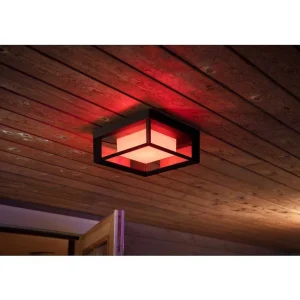 Luminaires Philips Luminaires Extérieurs Connectes>Applique Murale Philips Hue Ambiance White & Color Econic Led Noir, 1 Lumiere, Changeur De Couleurs