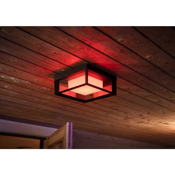 Luminaires Philips Luminaires Extérieurs Connectes>Applique Murale Philips Hue Ambiance White & Color Econic Led Noir, 1 Lumiere, Changeur De Couleurs