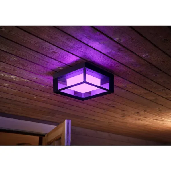 Luminaires Philips Luminaires Extérieurs Connectes>Applique Murale Philips Hue Ambiance White & Color Econic Led Noir, 1 Lumiere, Changeur De Couleurs