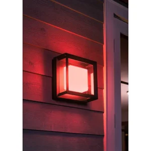 Luminaires Philips Luminaires Extérieurs Connectes>Applique Murale Philips Hue Ambiance White & Color Econic Led Noir, 1 Lumiere, Changeur De Couleurs