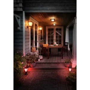 Luminaires Philips Luminaires Extérieurs Connectes>Applique Murale Philips Hue Ambiance White & Color Econic Led Noir, 1 Lumiere, Changeur De Couleurs