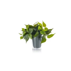 Luminaires Trio Divers>Fleur Trio Plant Led Vert