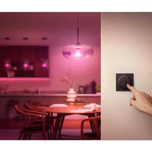 Luminaires Philips Accessoires Connectes>Interrupteur Philips Hue Tap Dial Noir