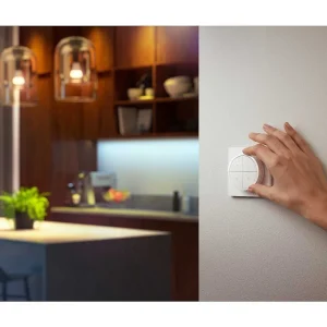 Luminaires Philips Accessoires Connectes>Interrupteur Philips Hue Tap Dial Blanc