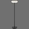 Paul Neuhaus Q-Serie Philips Hue>Lampadaire Paul Neuhaus Q-Etienne Led Noir, 1 Lumiere, Telecommandes