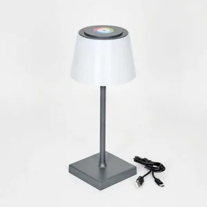 hofstein Lampes Rechargeables Et Lampes À Piles>Lampe A Poser Burzaco Led Anthracite, 1 Lumiere, Changeur De Couleurs