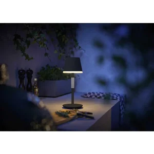 Luminaires Philips Lampes Rechargeables Et Lampes À Piles>Lampe A Poser Philips Hue Go Led Gris, Noir, 1 Lumiere, Changeur De Couleurs