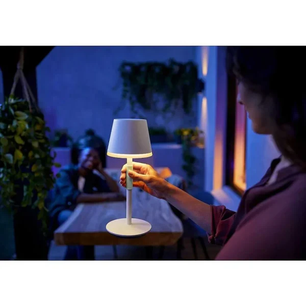 Luminaires Philips Lampes Rechargeables Et Lampes À Piles>Lampe A Poser Philips Hue Go Led Vert, Blanc, 1 Lumiere, Changeur De Couleurs