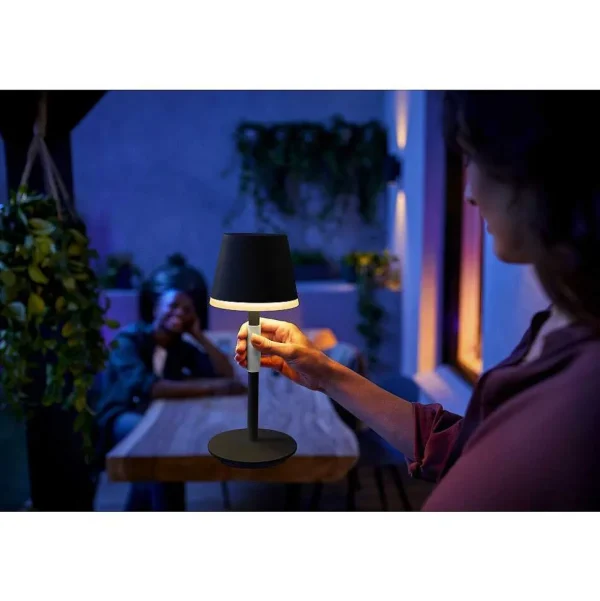 Luminaires Philips Lampes Rechargeables Et Lampes À Piles>Lampe A Poser Philips Hue Go Led Gris, Noir, 1 Lumiere, Changeur De Couleurs