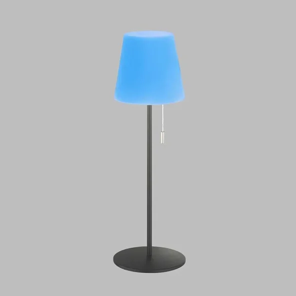 SCHÖNER WOHNEN-Kollektion Lampes Rechargeables Et Lampes À Piles>Lampe A Poser Schoner Wohnen-Kollektion Talent Led Anthracite, 1 Lumiere, Telecommandes, Changeur De Couleurs