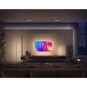 Luminaires Philips Philips Hue>Lampe De Table Philips Hue Gradient Signe Led Blanc, 1 Lumiere, Changeur De Couleurs