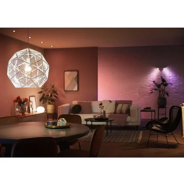 Luminaires Philips Philips Hue>Led E27 9 Watt 2200 - 6500 Kelvin 806 Lumen Philips Hue White & Color Ambiance