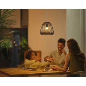 Luminaires Philips Ampoules Led>Philips Hue E14 Led 5,1 Watt 4000 Kelvin 470 Lumen