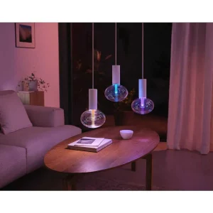 Luminaires Philips Ampoules Led>Philips Hue E27 Led 6,5 Watt 20006500 Kelvin 500 Lumen