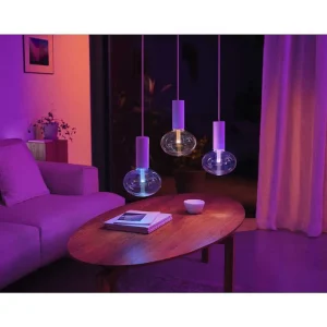 Luminaires Philips Ampoules Led>Philips Hue E27 Led 6,5 Watt 20006500 Kelvin 500 Lumen