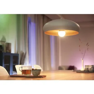 Luminaires Philips Ampoules Led>Philips Wiz Led E27 7 Watt 2200-6500 Kelvin 806 Lumen