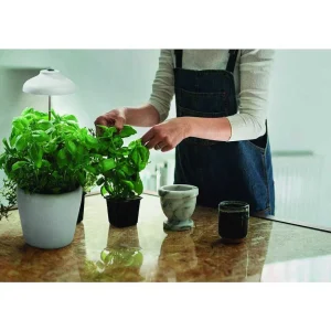 Luminaires Ledvance Divers>Pieu De Terre Ledvance Indoor Garden Blanc, 1 Lumiere