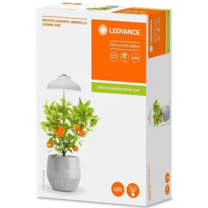 Luminaires Ledvance Divers>Pieu De Terre Ledvance Indoor Garden Blanc, 1 Lumiere