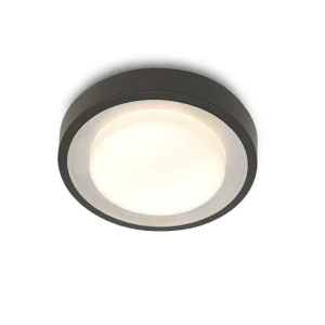 Luminaires Lutec Wiz>Plafonnier D'Exterieur Lutec Origo Led Anthracite, 1 Lumiere, Changeur De Couleurs