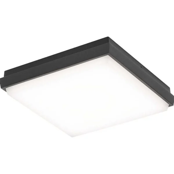 Luminaires LCD Plafonniers Extérieurs>Plafonnier Exterieur Lcd Typ 5060 Led Noir, 1 Lumiere