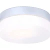 Luminaires Globo Lighting Plafonniers Extérieurs>Plafonnier Globo Vranos Acier Inoxydable, Argente, Blanc, 1 Lumiere