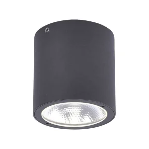 Luminaires Paul Neuhaus Plafonniers Extérieurs>Plafonnier Paul Neuhaus Georg Led Anthracite, 1 Lumiere