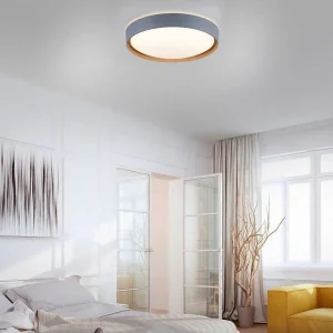 Paul Neuhaus Q-Serie Luminaires Interieurs Connectes>Plafonnier Paul Neuhaus Q-Emilia Led Gris, Couleur Bois, 1 Lumiere, Telecommandes