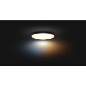 Luminaires Philips Philips Hue>Plafonnier Philips Hue Cher Led Noir, 1 Lumiere, Telecommandes