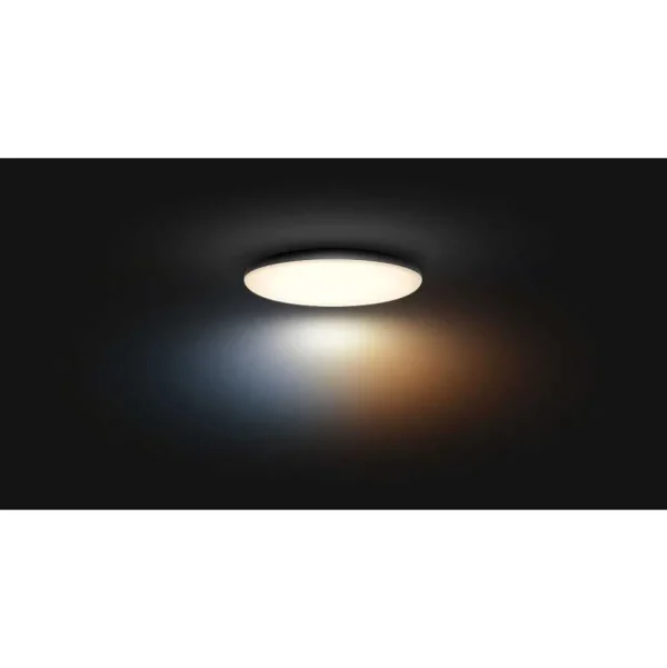 Luminaires Philips Philips Hue>Plafonnier Philips Hue Cher Led Noir, 1 Lumiere, Telecommandes