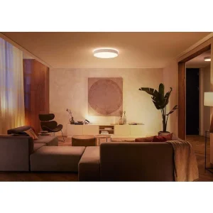 Luminaires Philips Philips Hue>Plafonnier Philips Hue Enrave Led Blanc, 1 Lumiere, Telecommandes