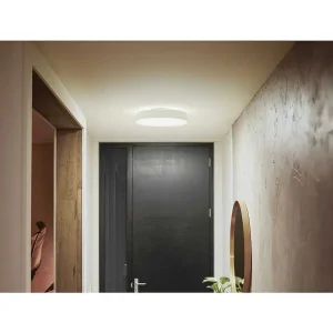 Luminaires Philips Philips Hue>Plafonnier Philips Hue Enrave Led Blanc, 1 Lumiere, Telecommandes