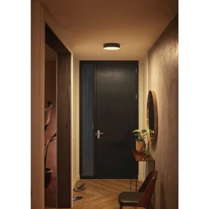 Luminaires Philips Luminaires Interieurs Connectes>Plafonnier Philips Hue Enrave Led Noir, 1 Lumiere, Telecommandes