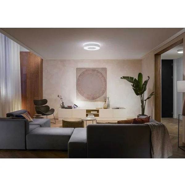 Luminaires Philips Philips Hue>Plafonnier Philips Hue Infuse Led Blanc, 1 Lumiere, Changeur De Couleurs