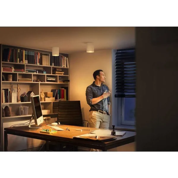 Luminaires Philips Philips Hue>Plafonnier Philips Hue Pillar Led Blanc, 1 Lumiere, Telecommandes