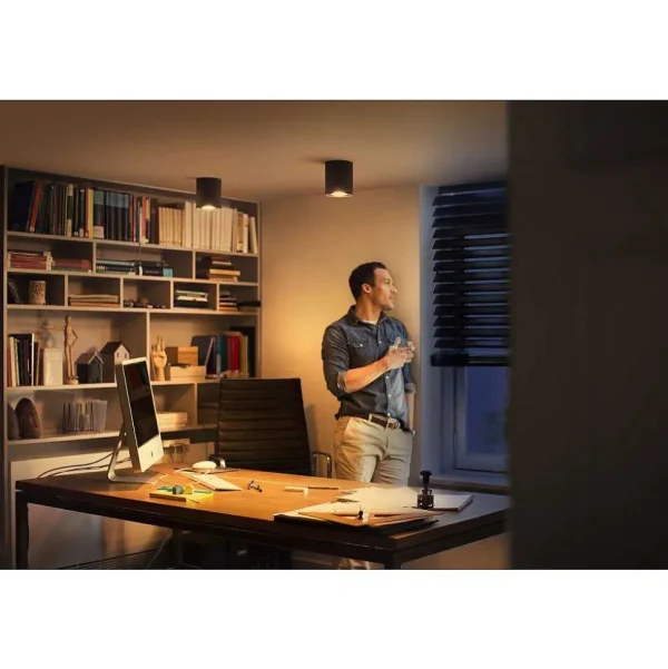 Luminaires Philips Philips Hue>Plafonnier Philips Hue Pillar Led Noir, 1 Lumiere