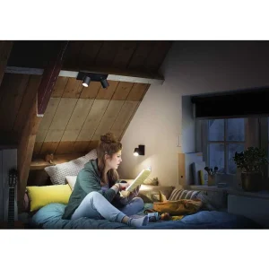 Luminaires Philips Philips Hue>Plafonnier Philips Hue Runner Led Noir, 2 Lumieres, Telecommandes