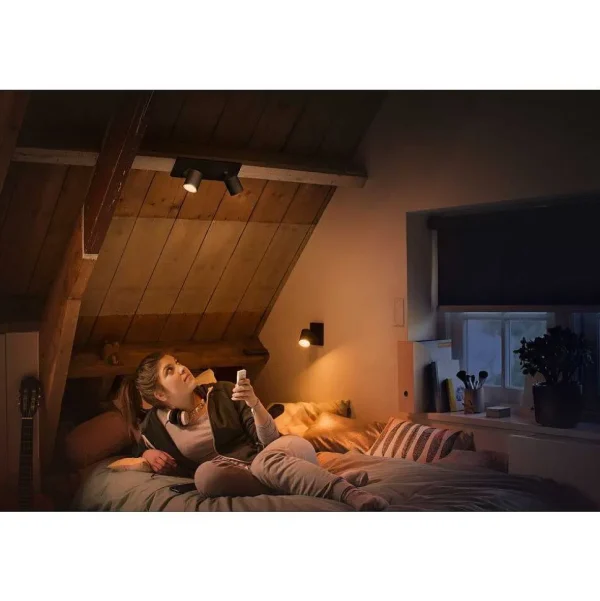 Luminaires Philips Philips Hue>Plafonnier Philips Hue Runner Led Noir, 2 Lumieres, Telecommandes