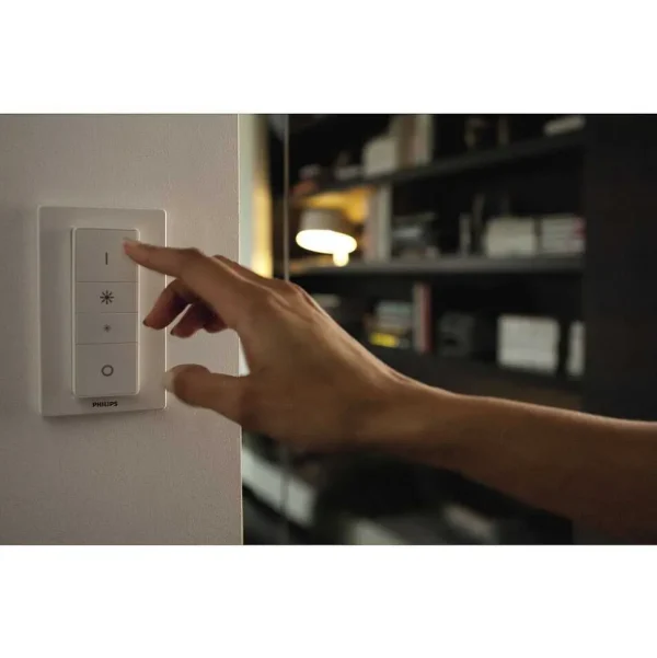 Luminaires Philips Philips Hue>Plafonnier Philips Hue Runner Led Blanc, 1 Lumiere, Telecommandes